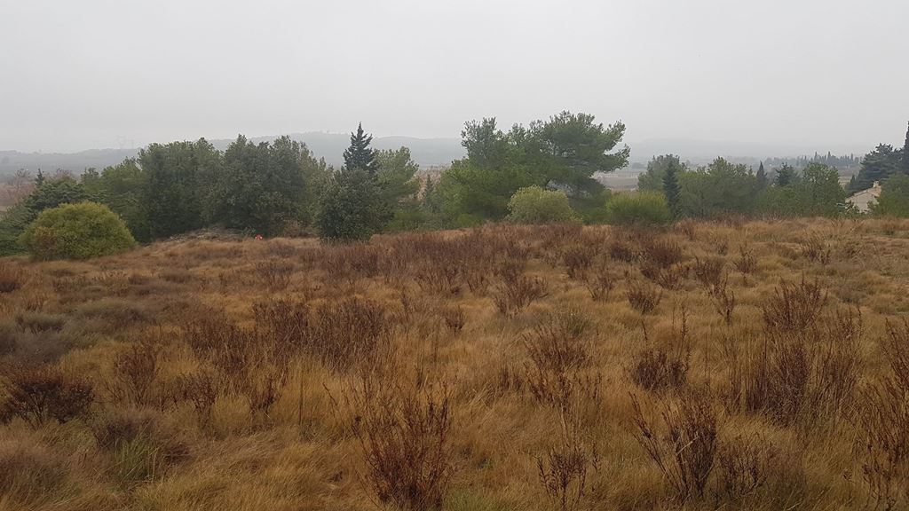 Terrain ESCALES (11200) NEXTLOGIS