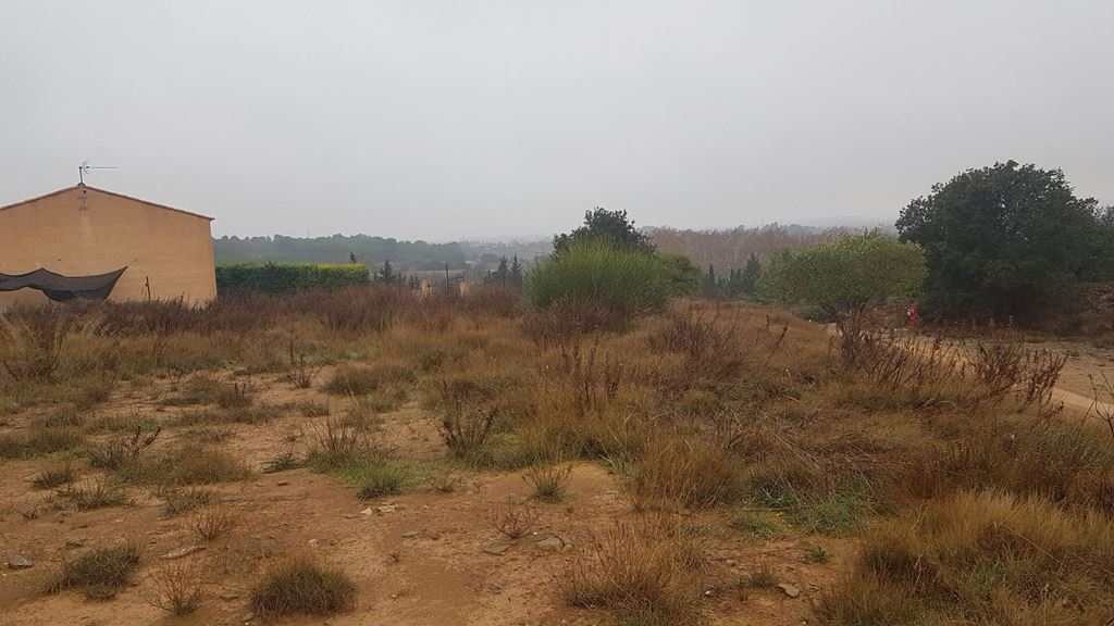 Terrain ESCALES (11200) NEXTLOGIS