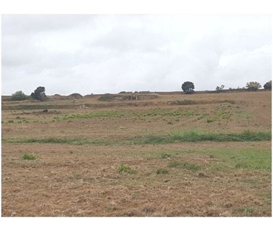 Terrain STE VALIERE (11120) NEXTLOGIS