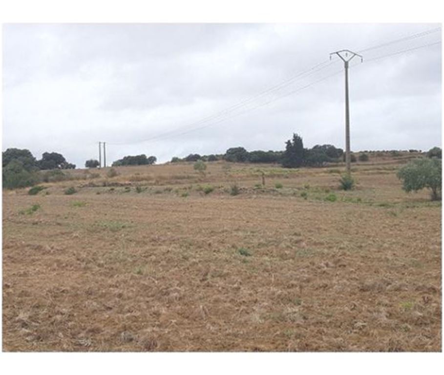 Terrain STE VALIERE (11120) NEXTLOGIS