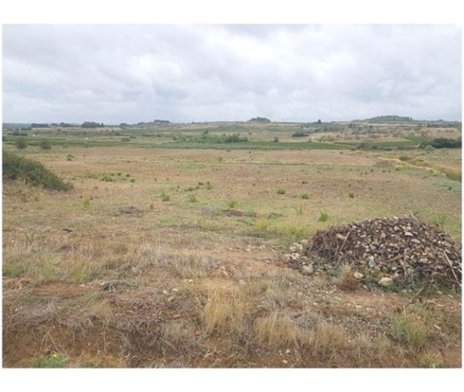 Terrain STE VALIERE (11120) NEXTLOGIS